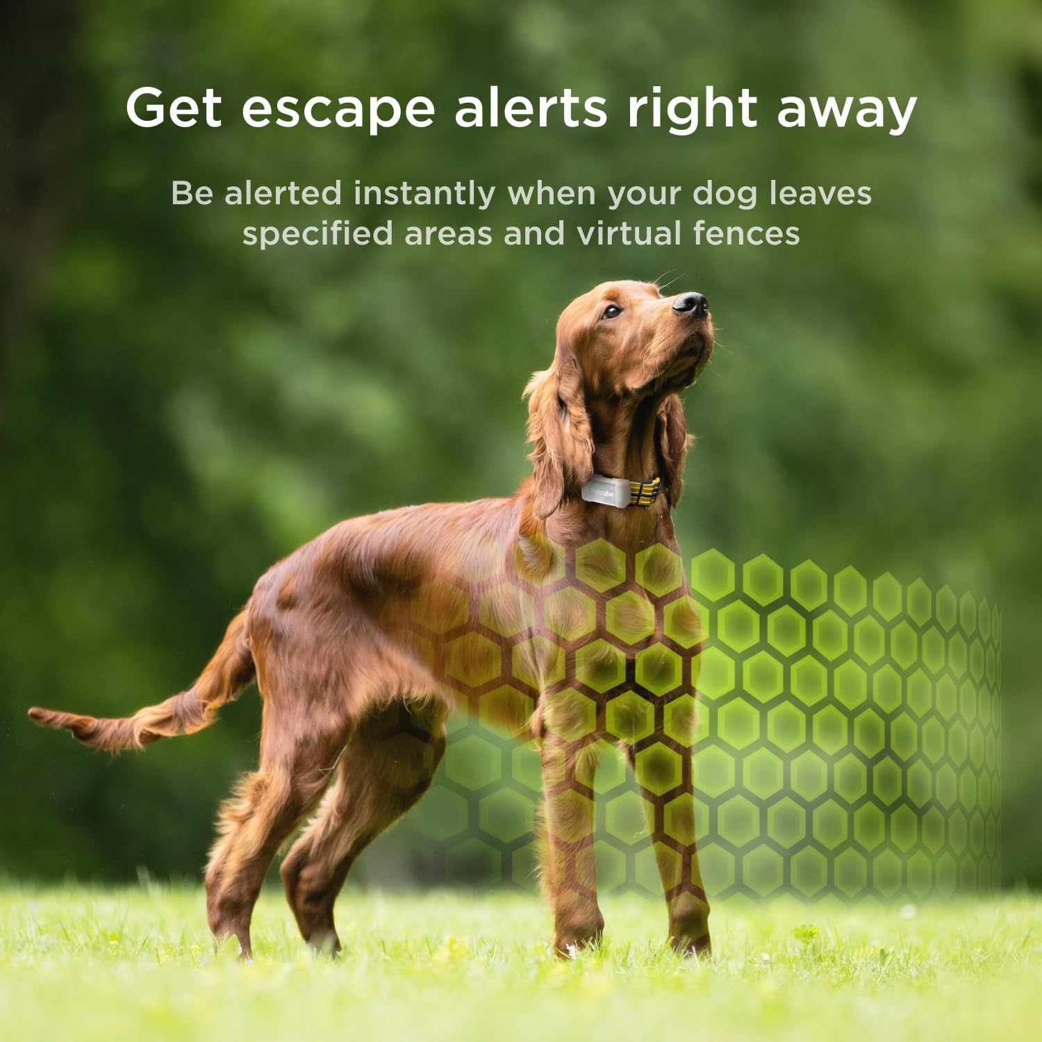 Petcube GPS Tracker battery life graphic shows up to 30 days in power save mode