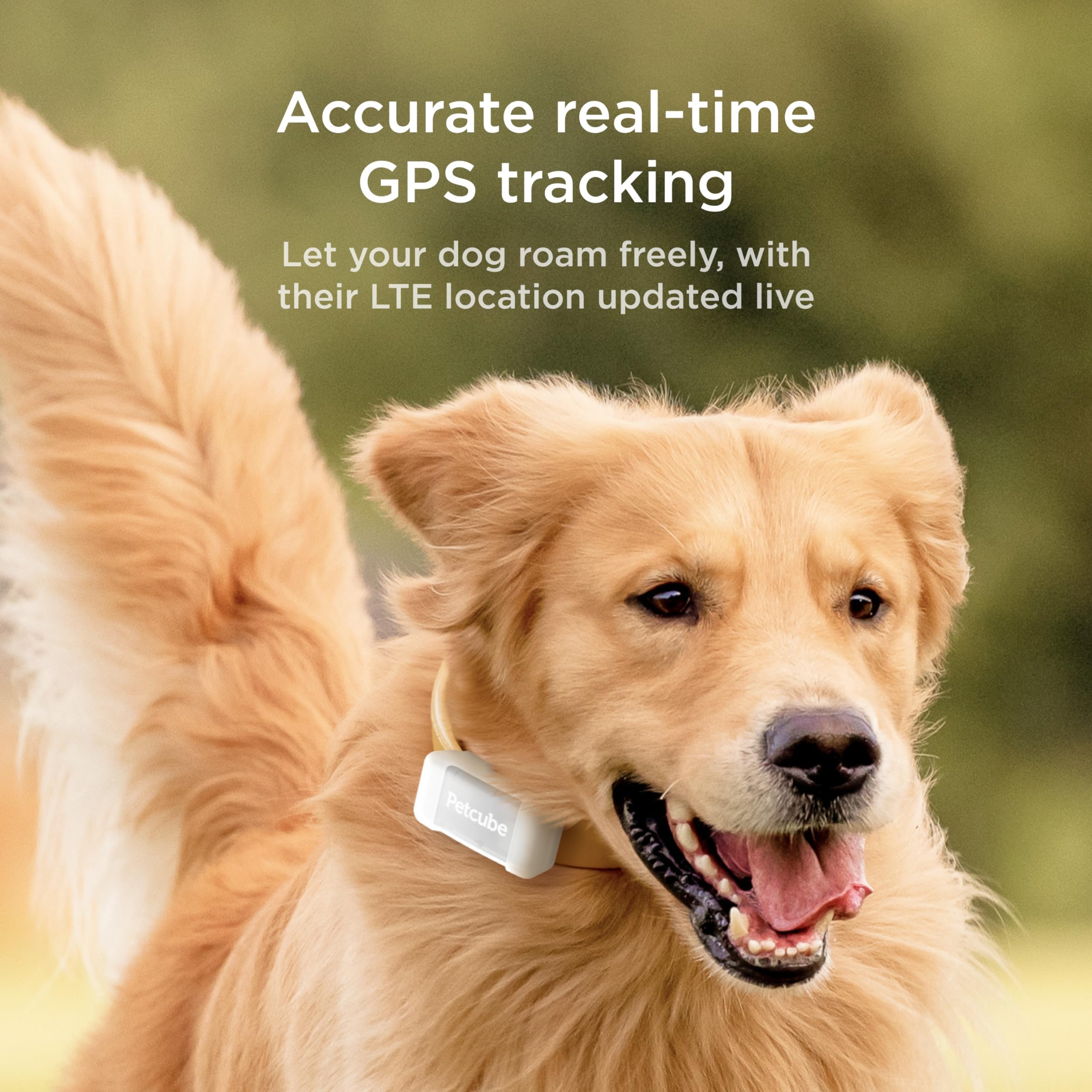 Petcube GPS Tracker interactive map shows real-time location for quick action