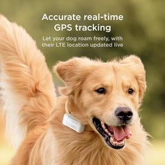 Petcube GPS Tracker interactive map shows real-time location for quick action