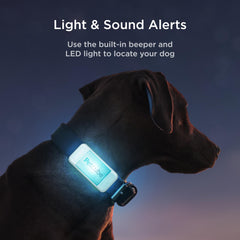 Petcube GPS Tracker waterproof glow case aids locating your dog in low light