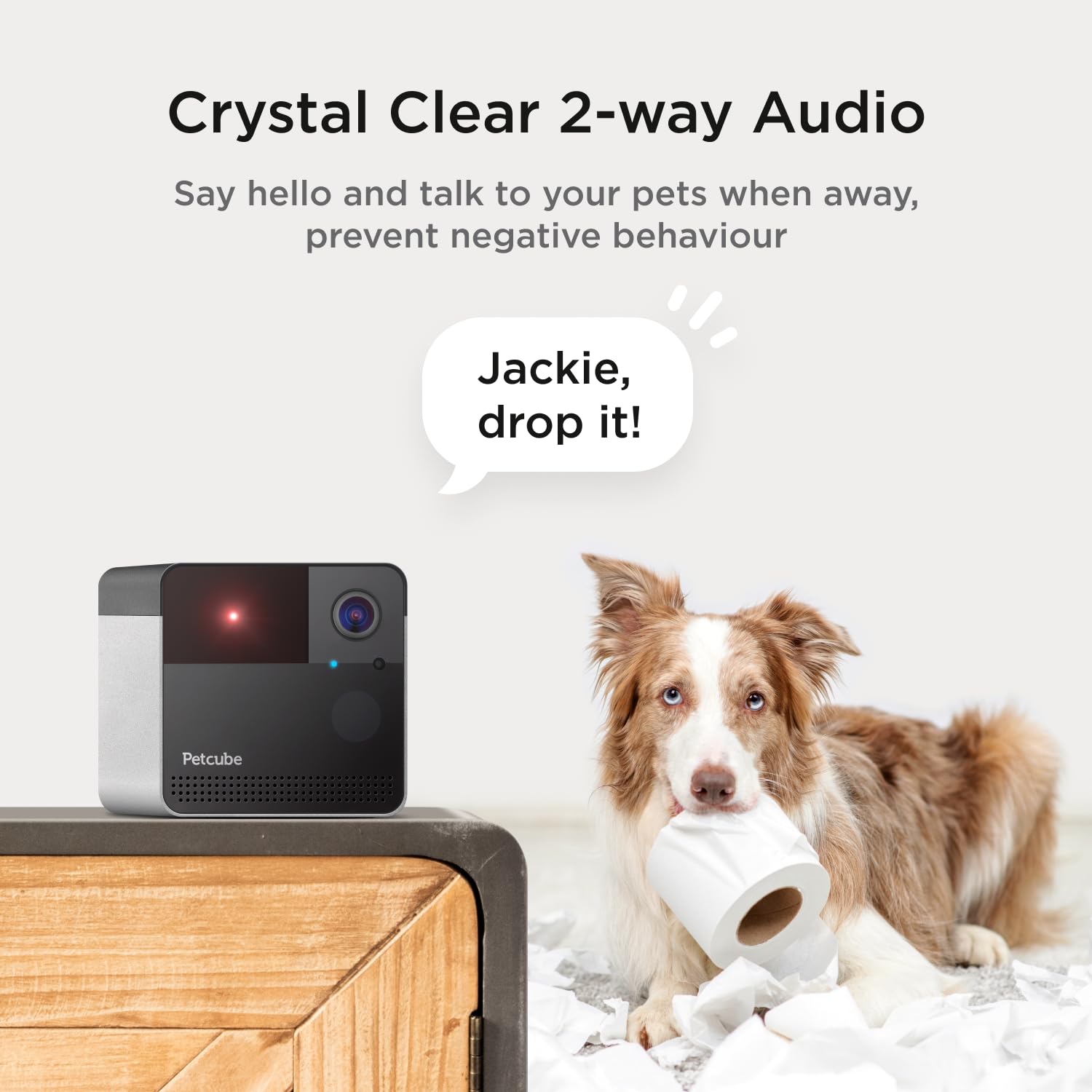 Petcube Play 2 easy setup image shows a quick one minute install.