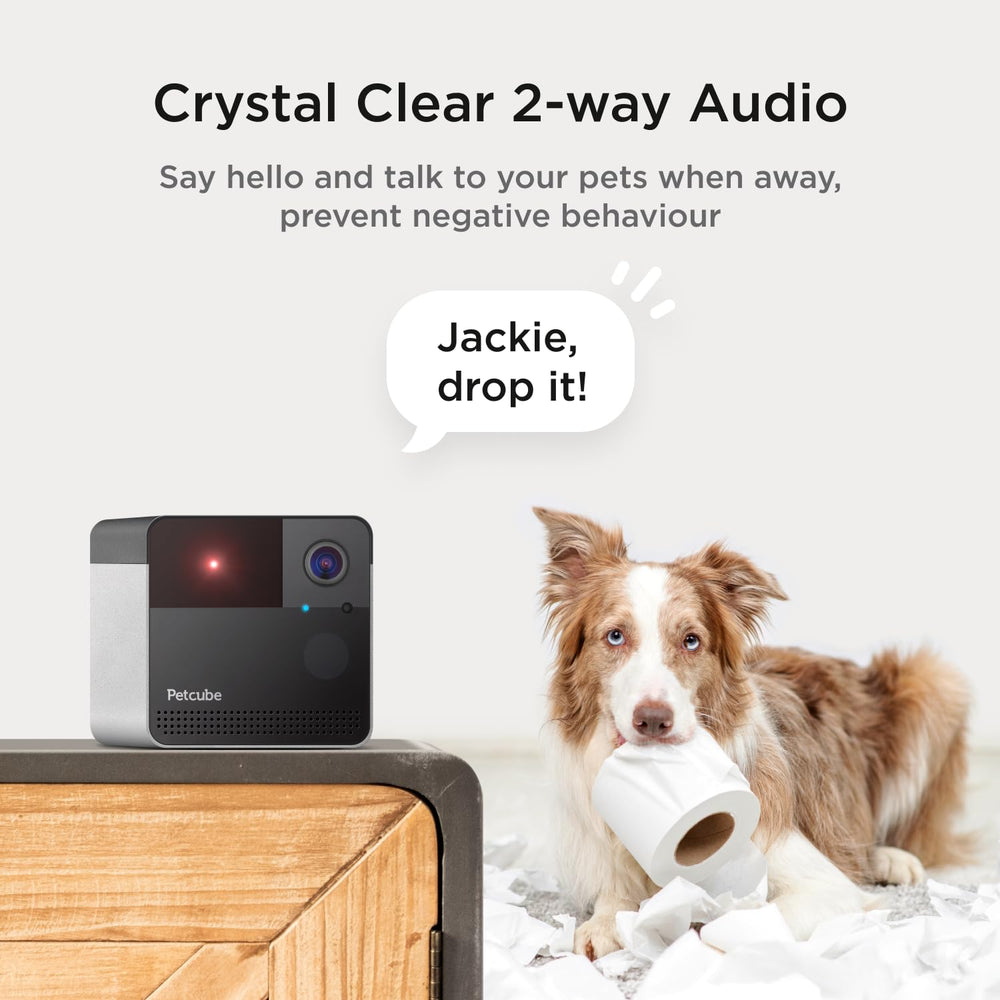 Petcube Play 2 easy setup image shows a quick one minute install.