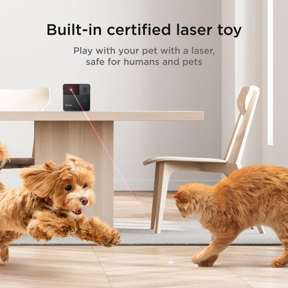 Petcube Play 2 laser toy control lets you entertain pets from your phone.