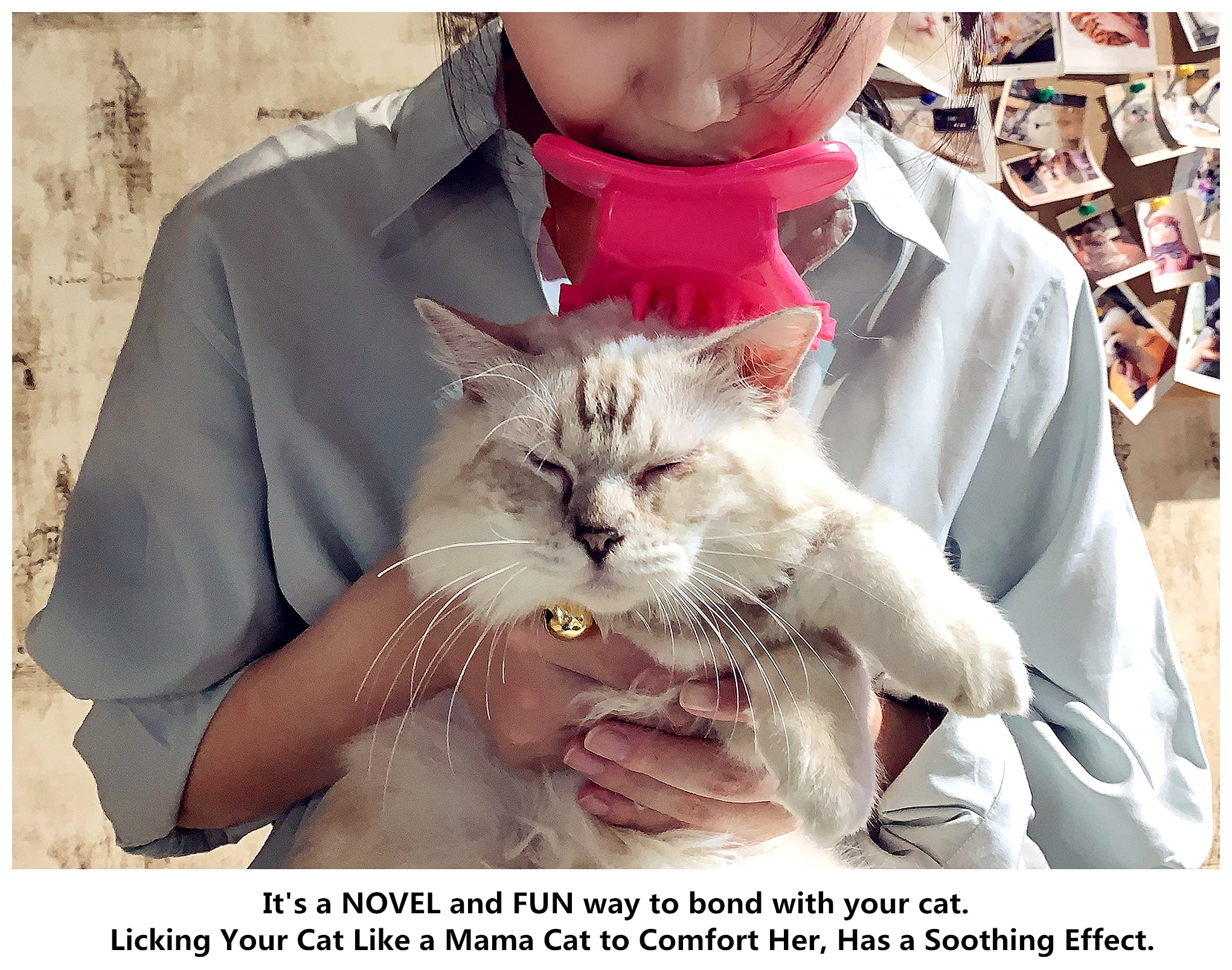 PETCYY grooming session along fur growth direction for a smoother coat.