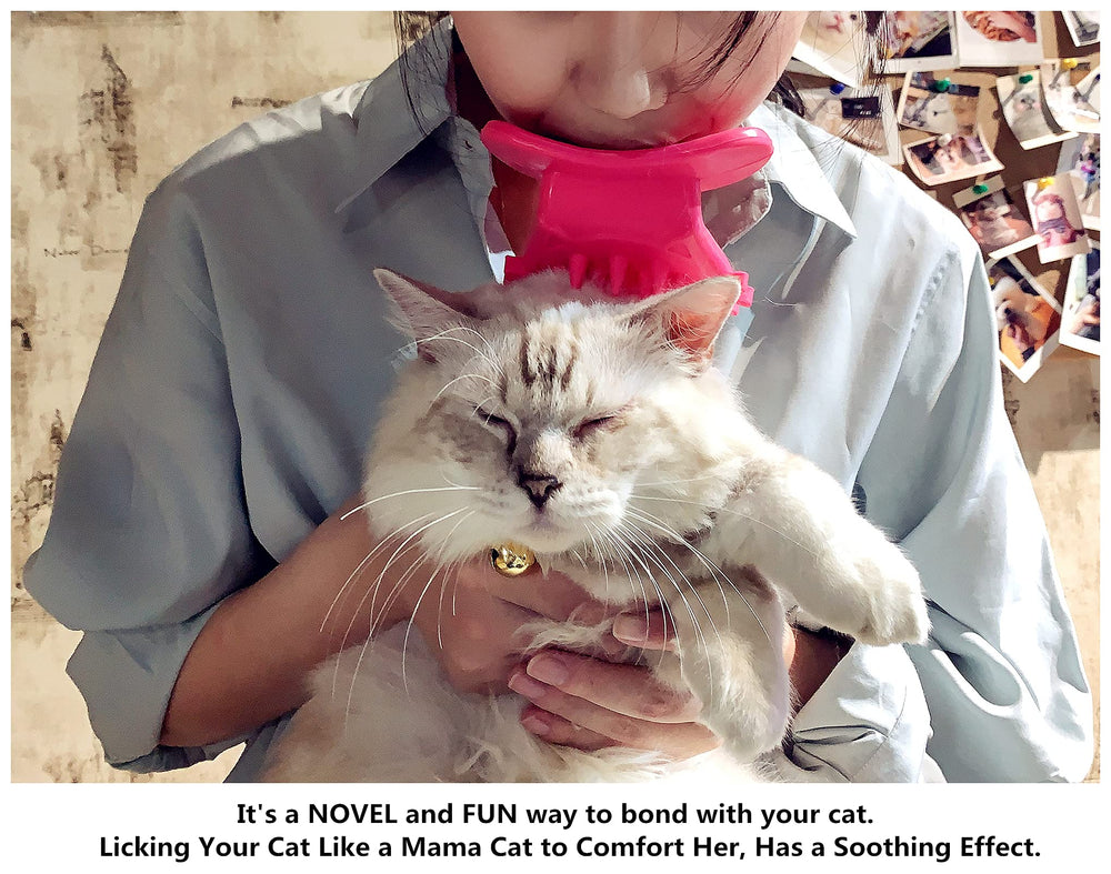 PETCYY grooming session along fur growth direction for a smoother coat.