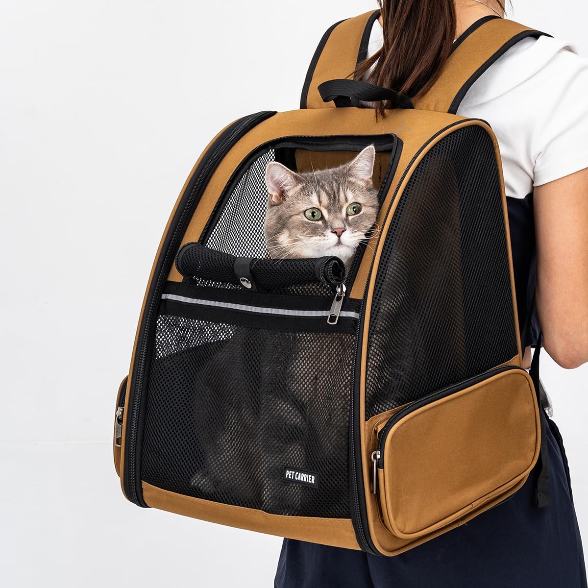 Petdiwoo cat backpack foldable design for easy storage.