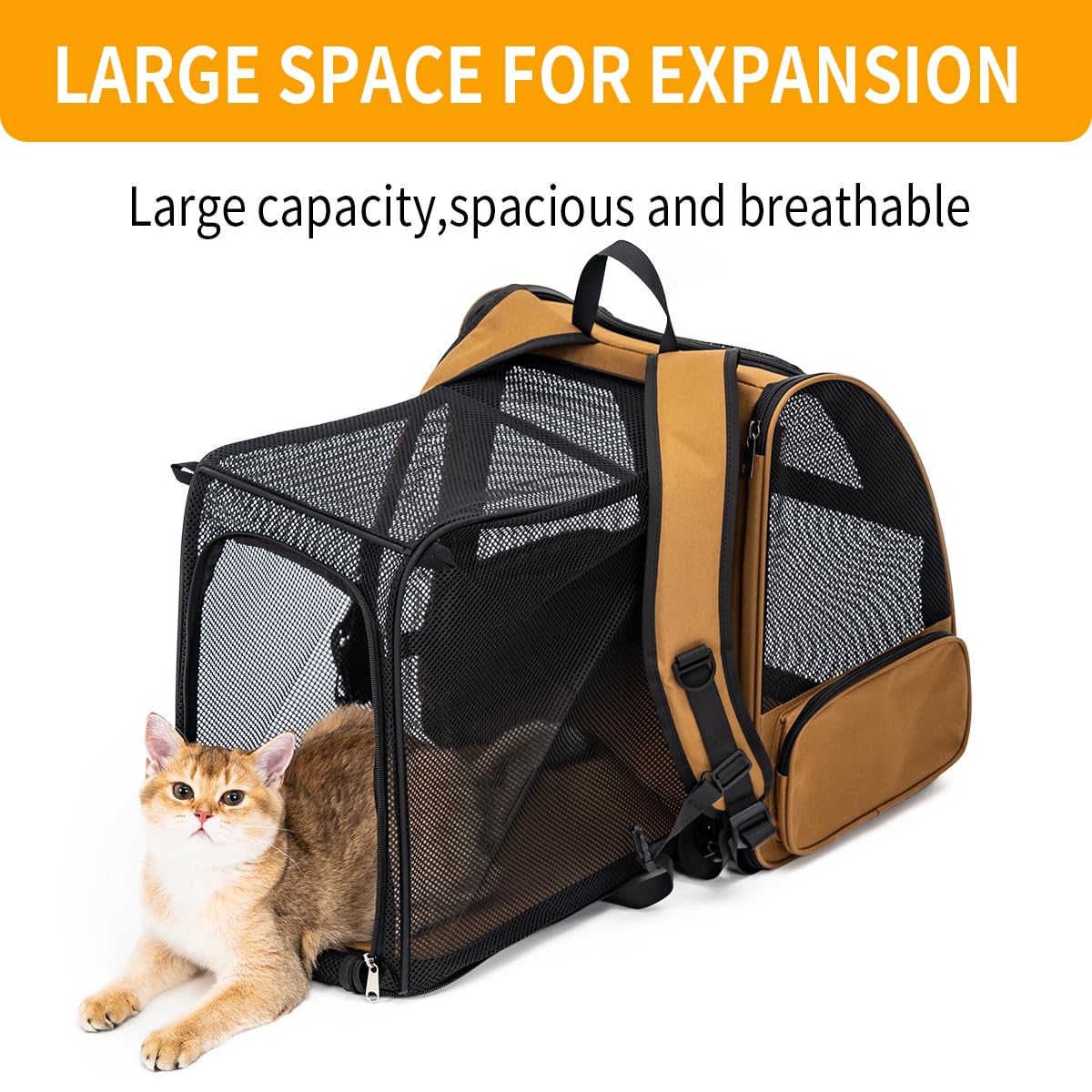 Petdiwoo cat backpack safety belt ensures secure travel.