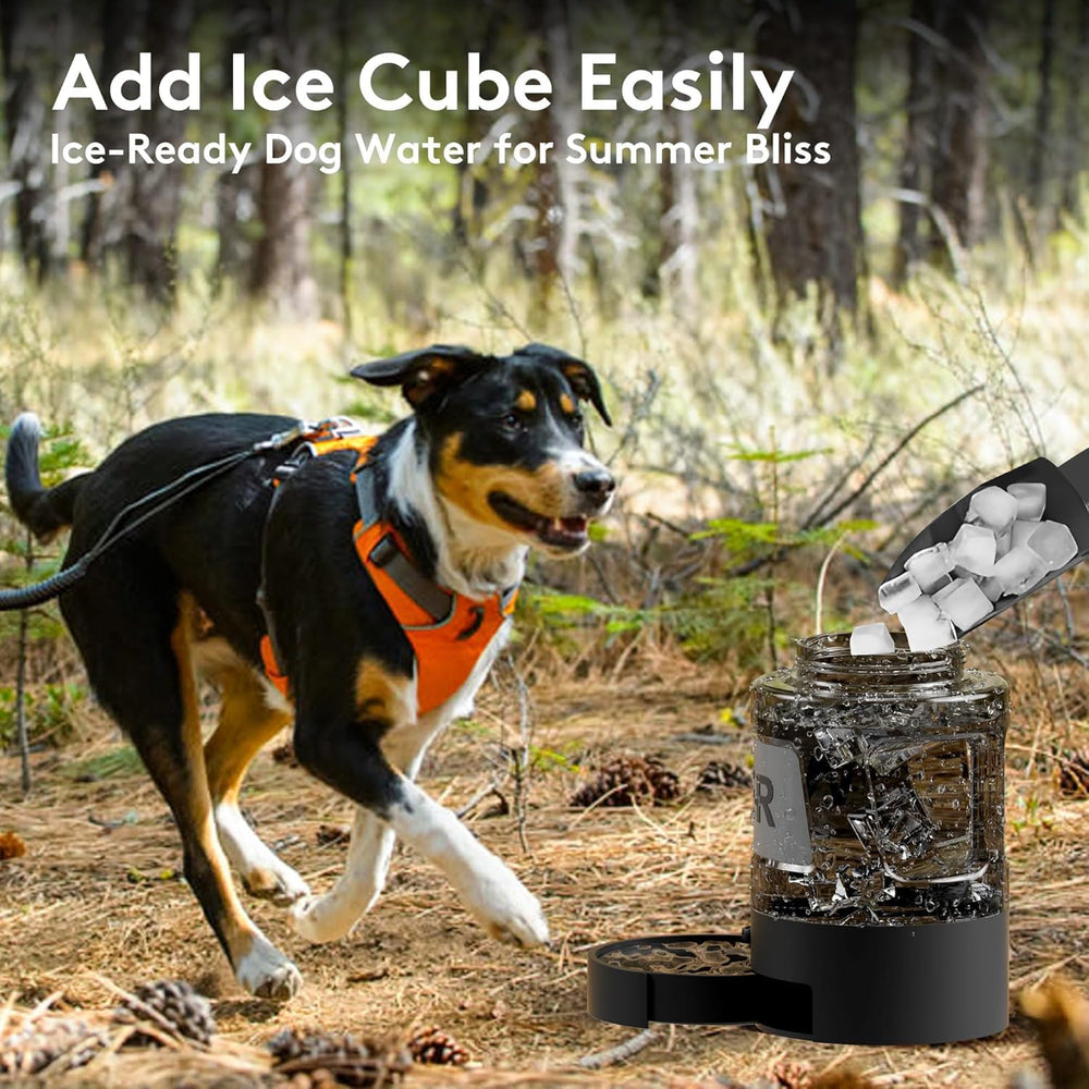 PETDOTT 2-in-1 bottle and bowl offers convenient feeding and drinking at camps.