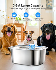 PETDOTT water fountain 3-gallon capacity reduces refills for busy homes.