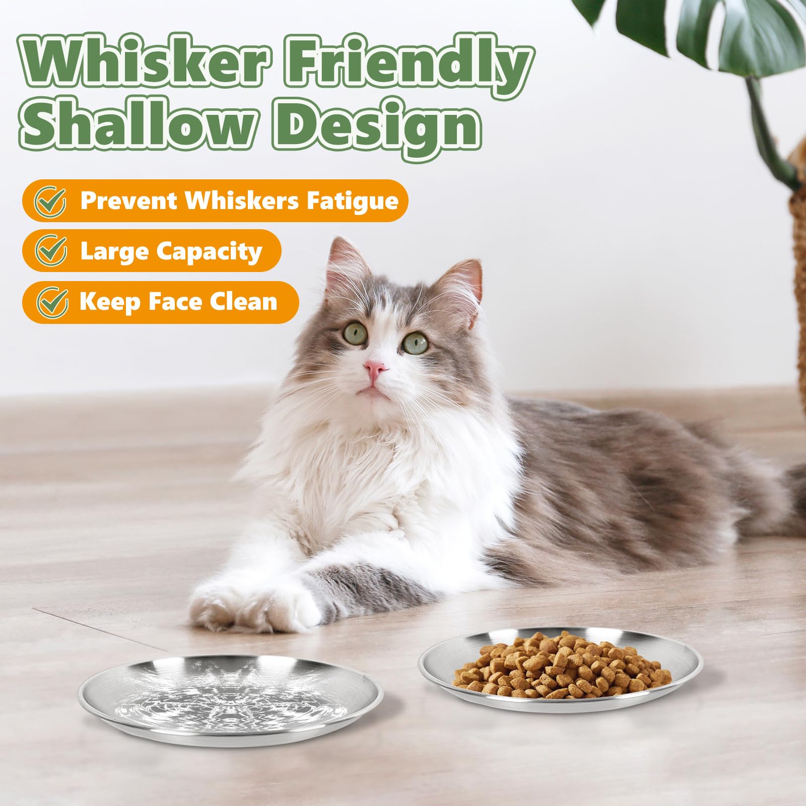 Petdream whisker-friendly rim detail highlighting cat friendly design during meals