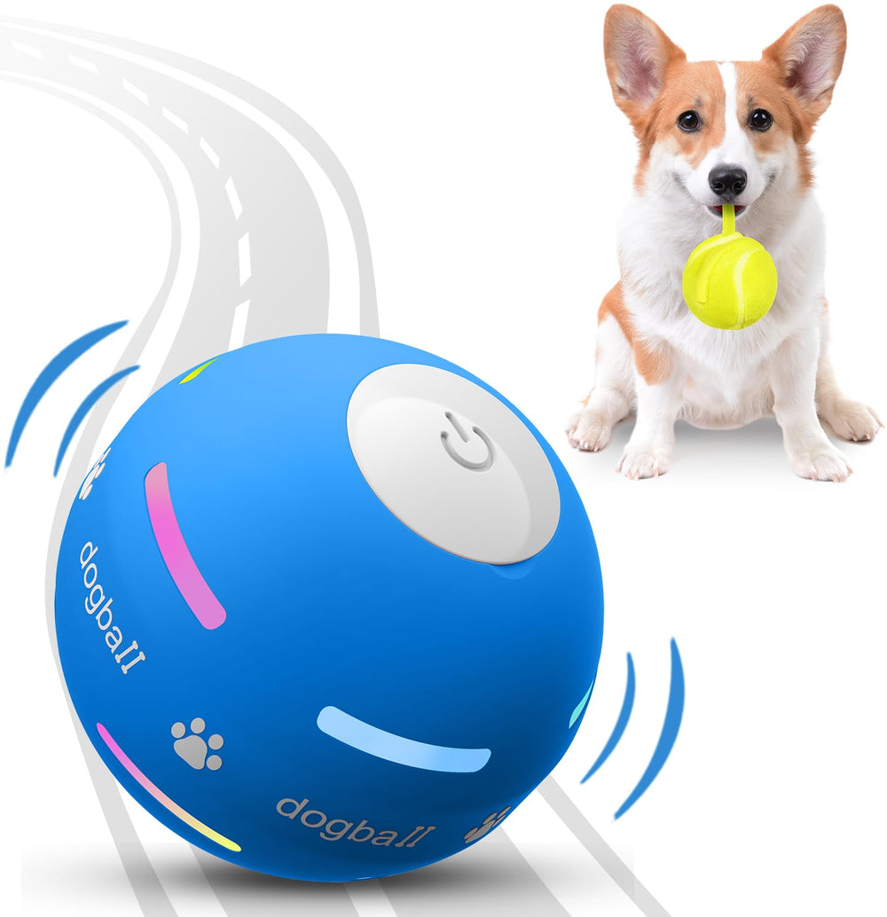 PetDroid interactive dog ball with blue lights attracts dogs during playtime