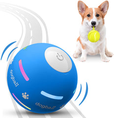 PetDroid interactive dog ball with blue lights attracts dogs during playtime