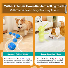 PetDroid interactive dog ball rolling mode engages dogs with irregular motion