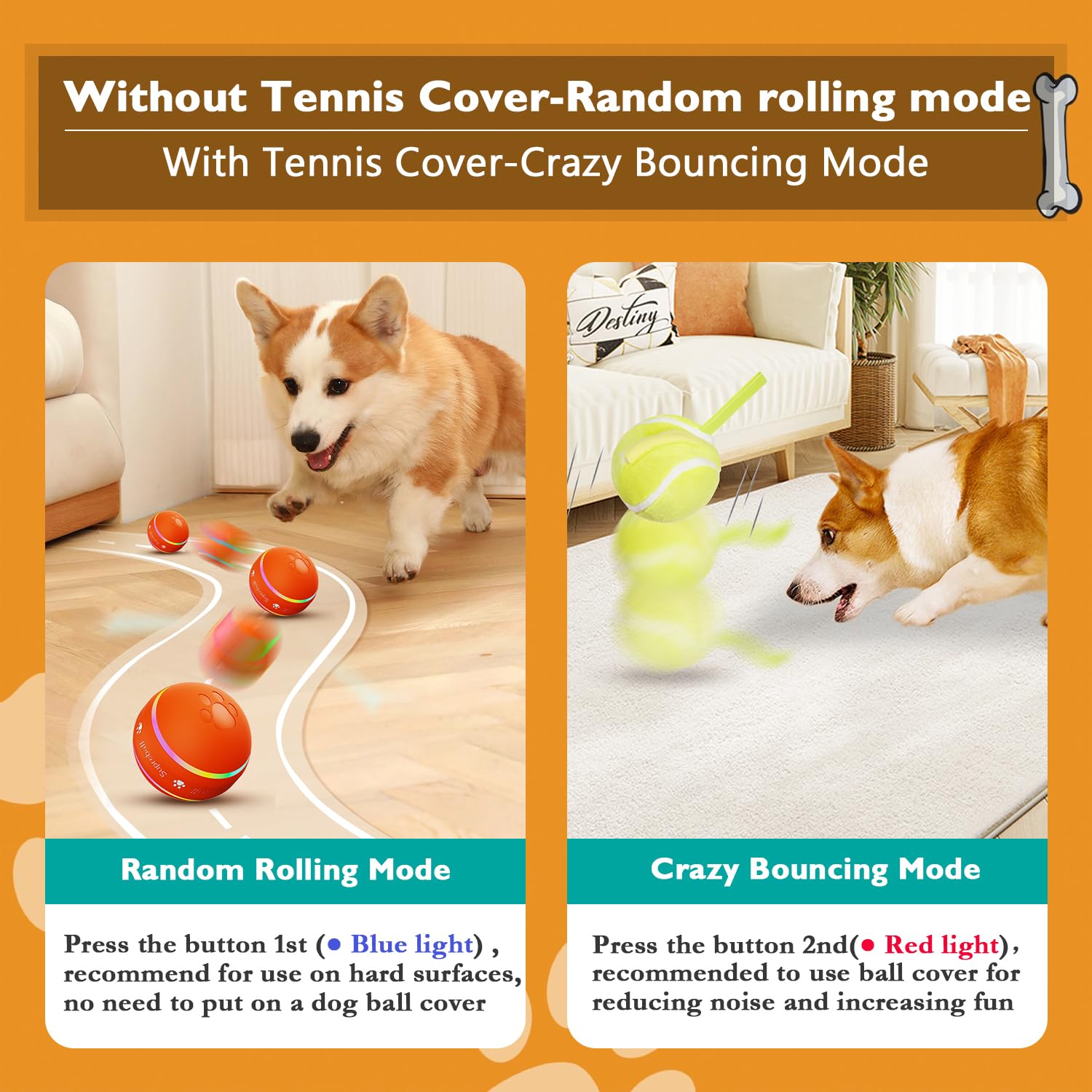PetDroid motion-activated ball with blue light attracting dogs during independent play.