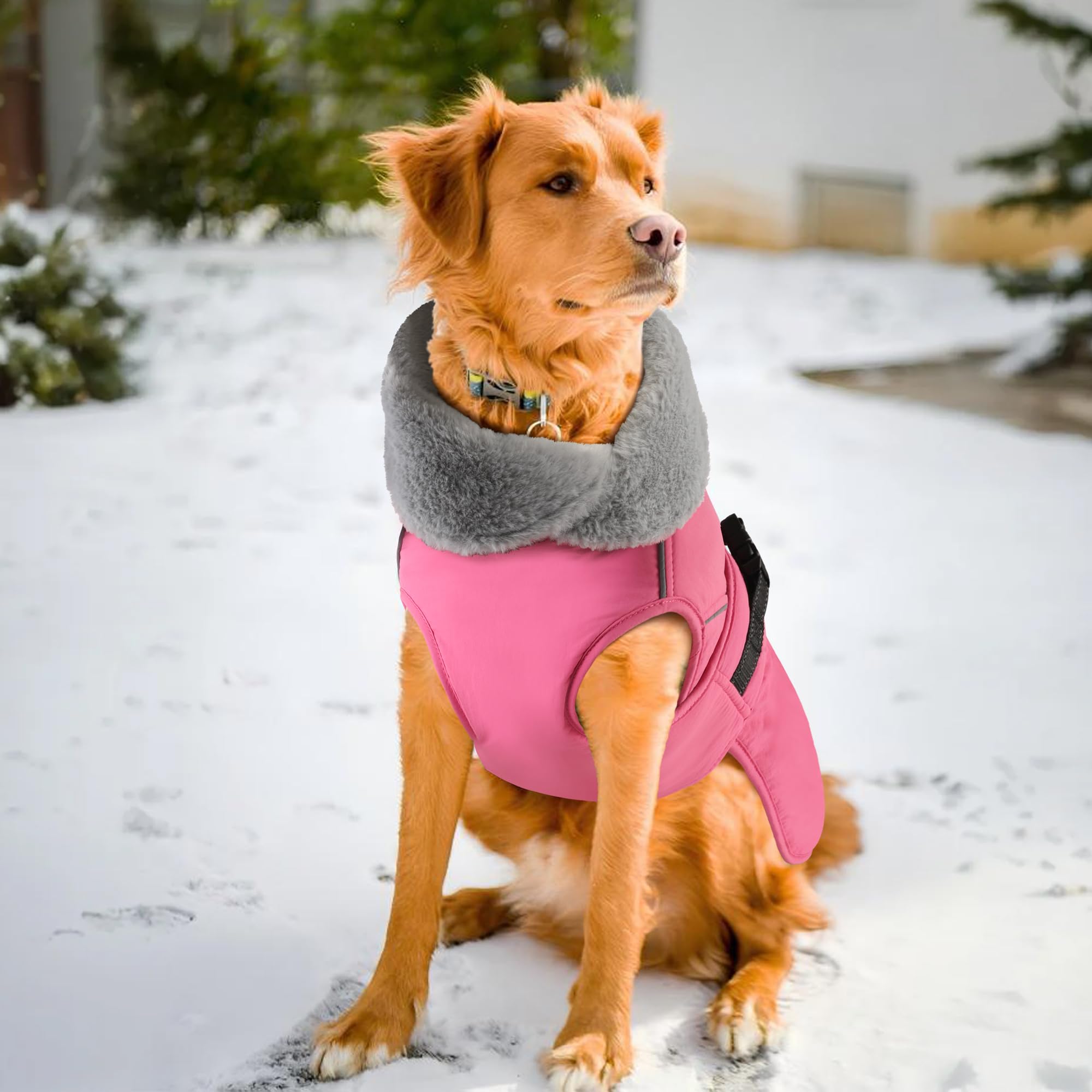 PETDSH dog coat easy to clean and maintain for busy owners.