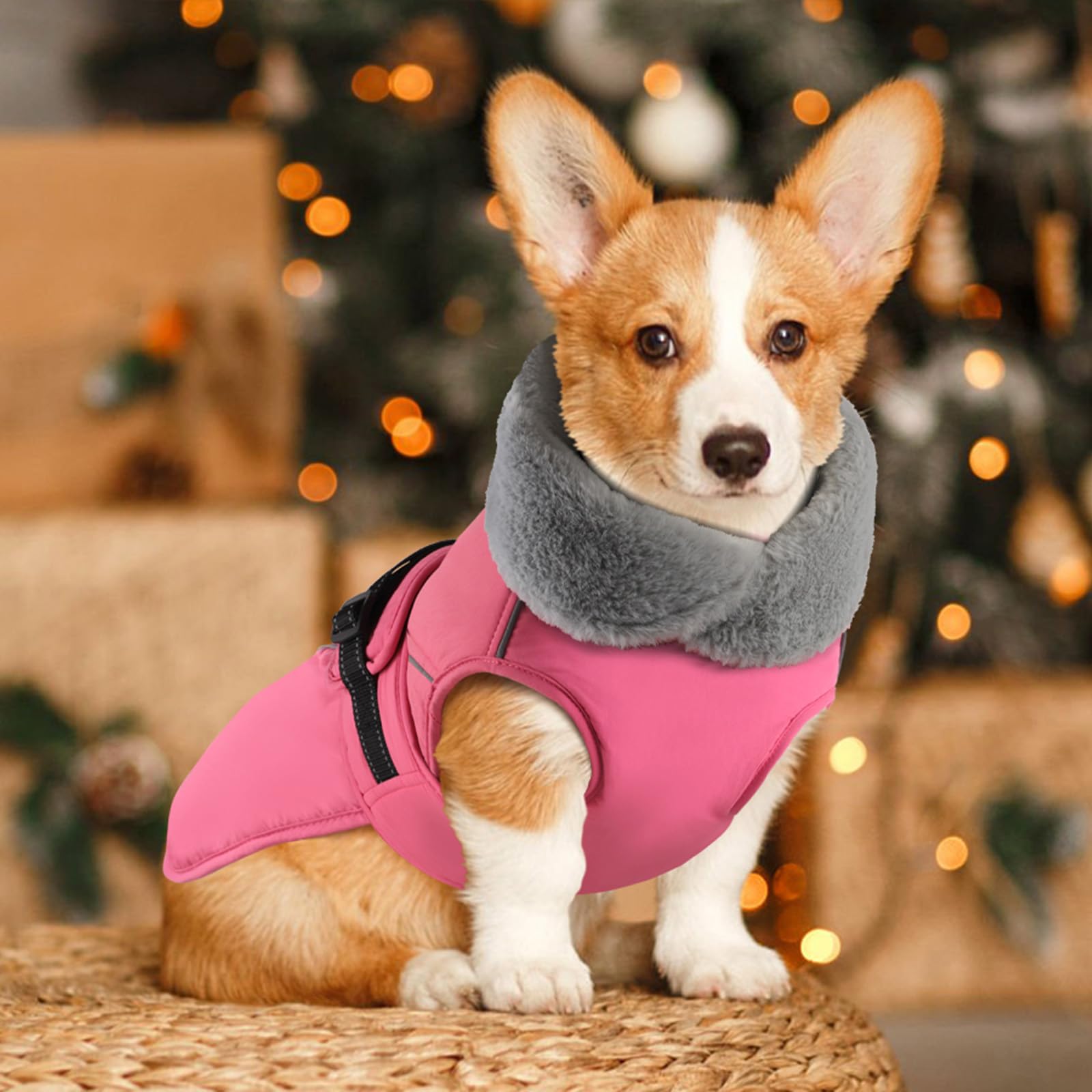 PETDSH pink large coat ready for big dogs and easy fitting.