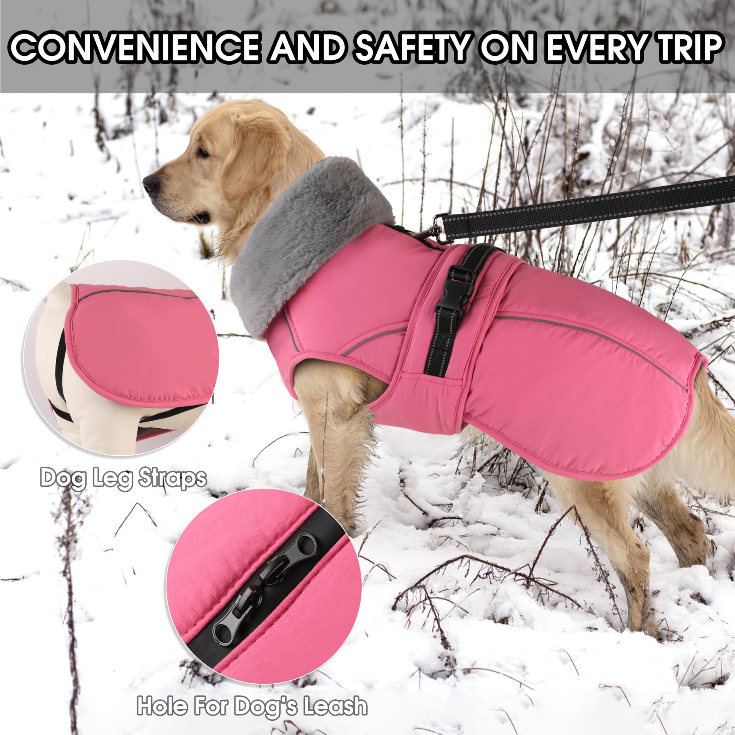 PETDSH reflective strips enhance night visibility during evening strolls.