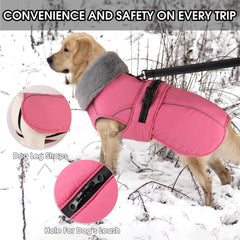 PETDSH reflective strips enhance night visibility during evening strolls.