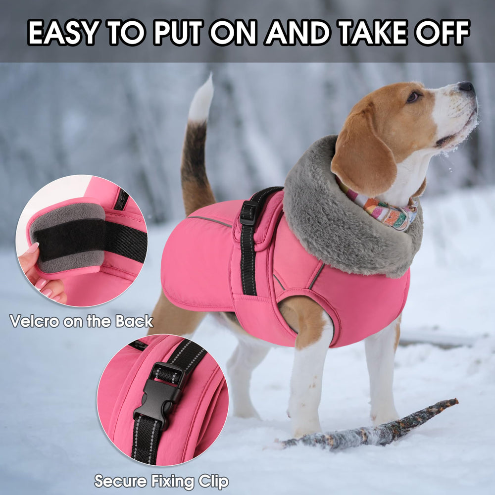 PETDSH windproof jacket with quick-wear design for effortless dressing.