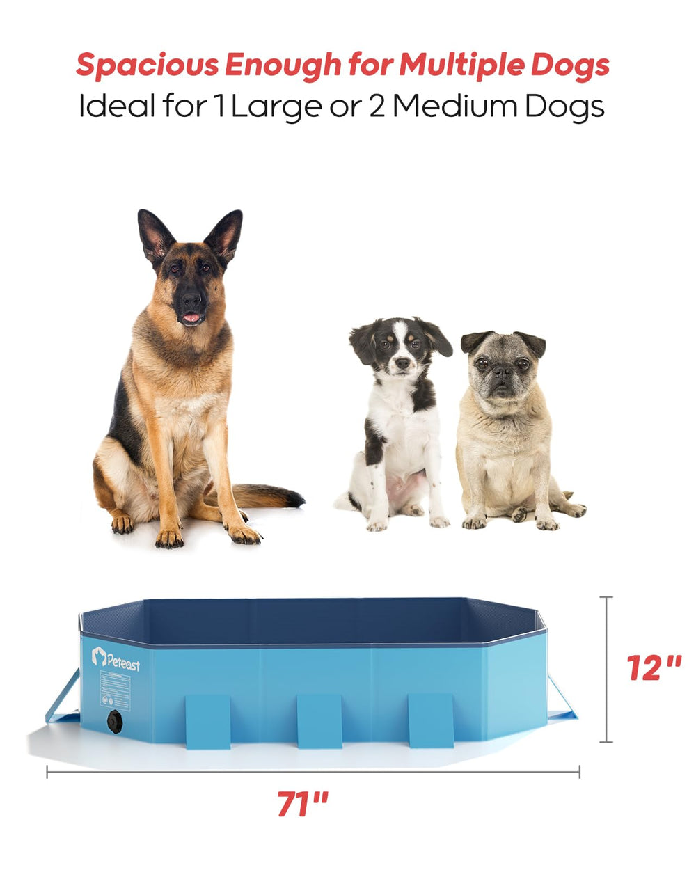 Peteast blue pool supports indoor and outdoor use with durable construction.