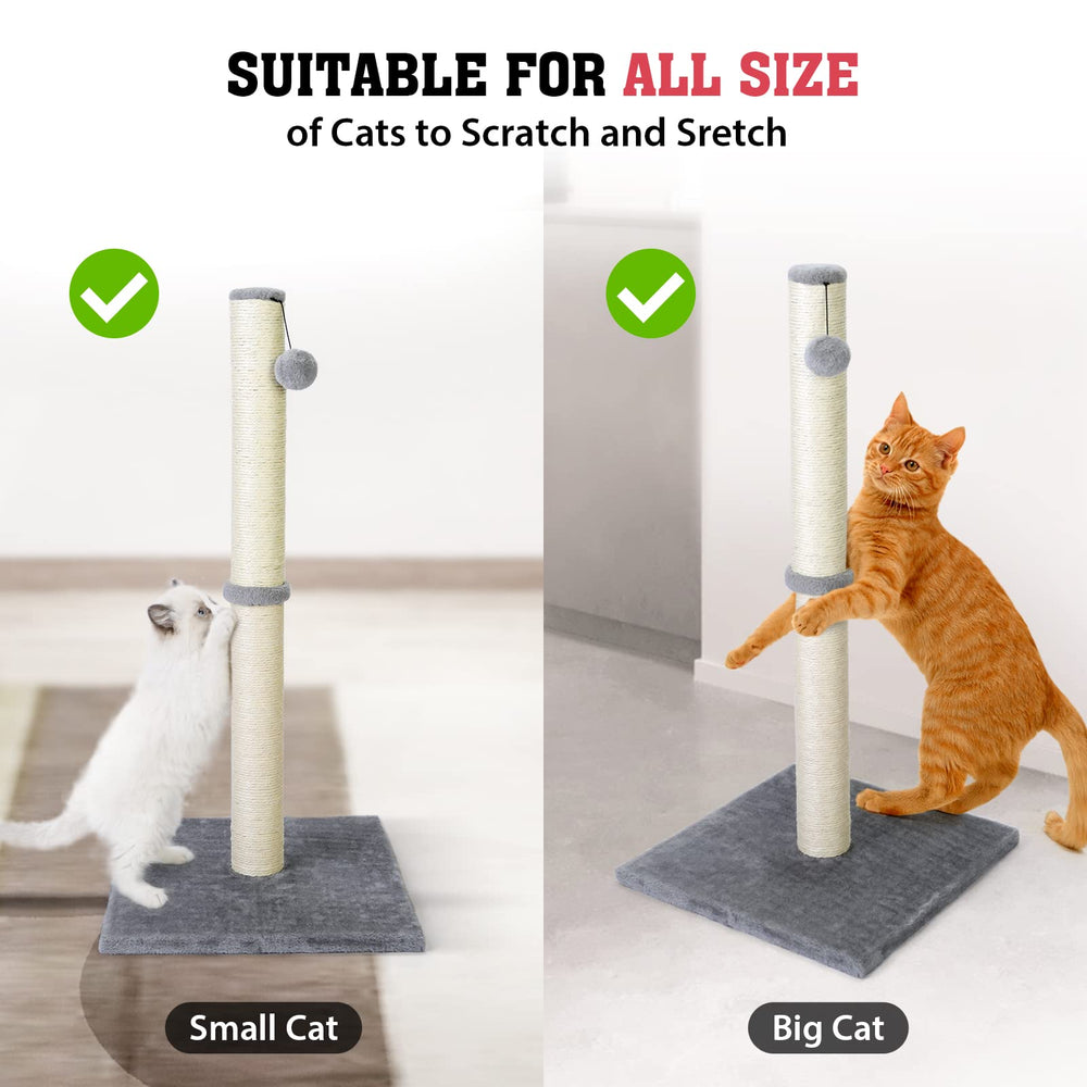 Petellow 31inch cat post with plush top for a comfy perch.