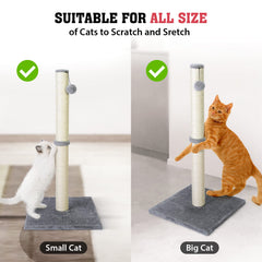 Petellow 31inch cat post with plush top for a comfy perch.