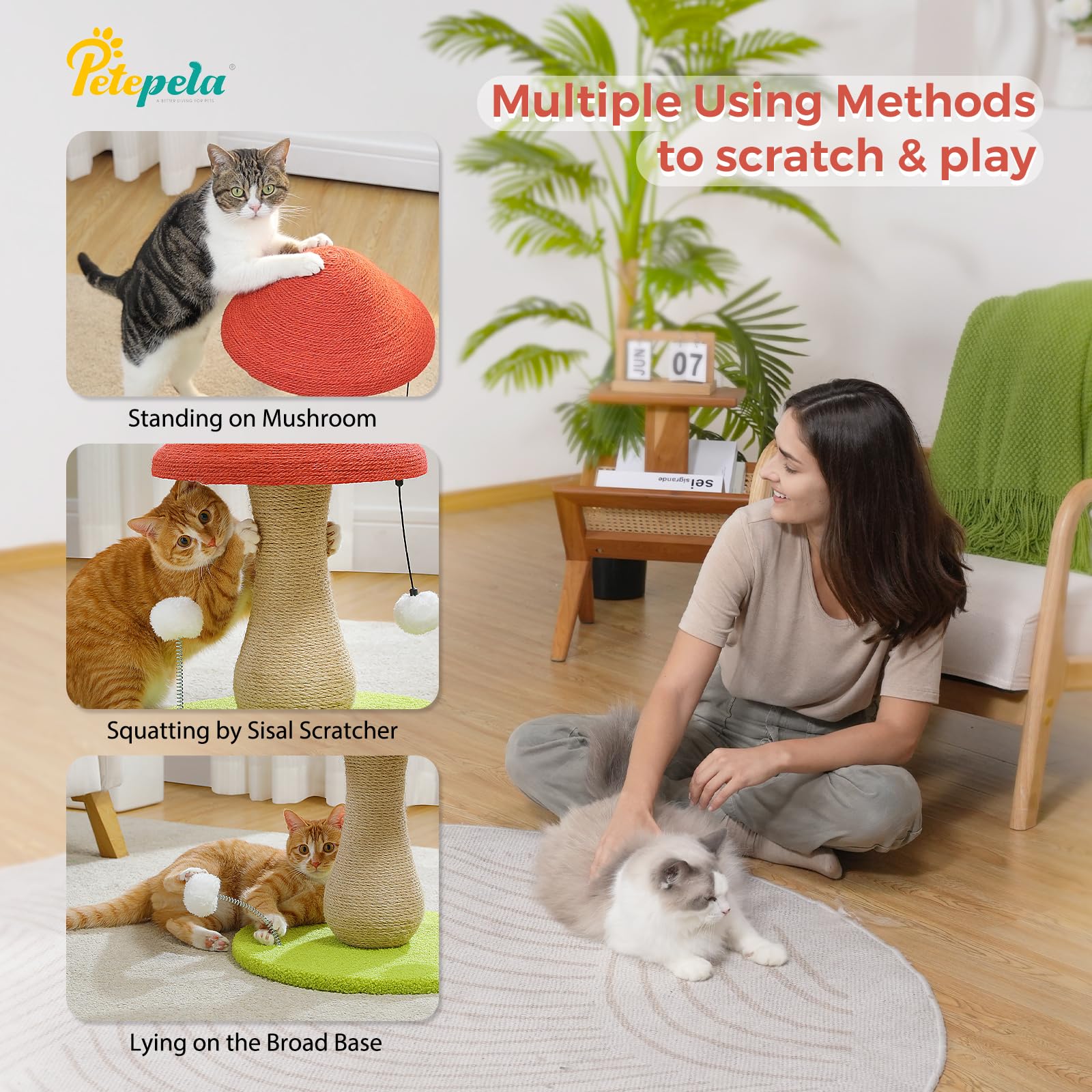 PETEPELA easy-assembly cat-scratcher arrives with hardware for quick setup.