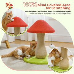 PETEPELA bowling-ball-design base enhances stability for steady scratching.