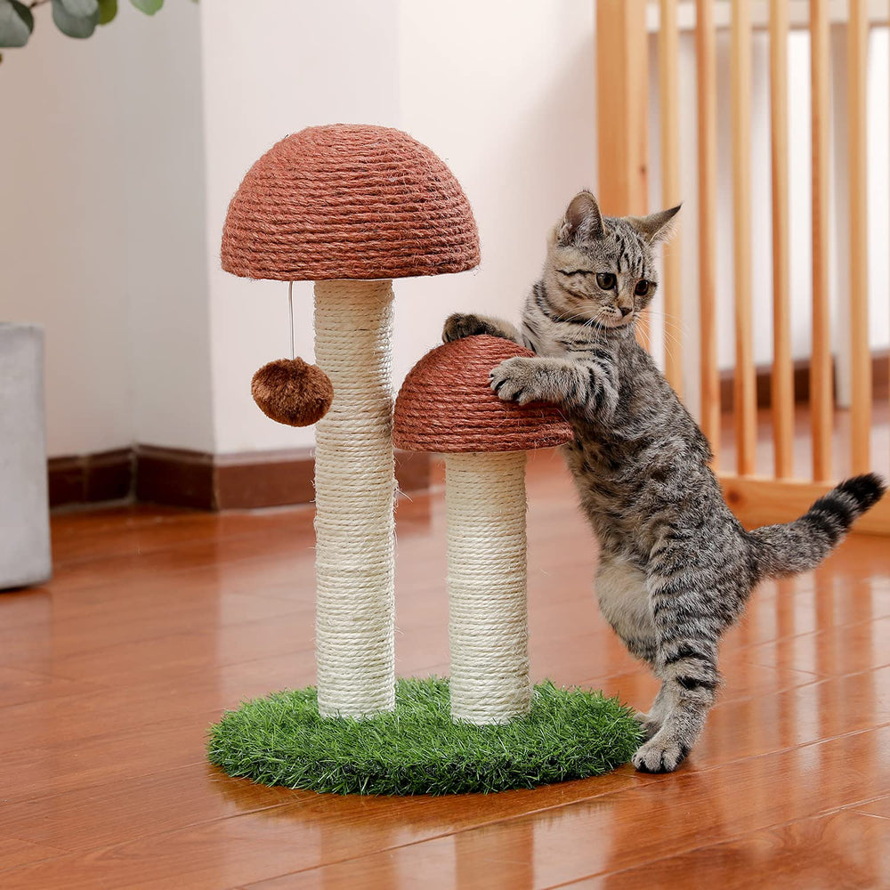 PETEPELA Cat Scratching Post ideal for indoor cats and kittens up to 5 kg
