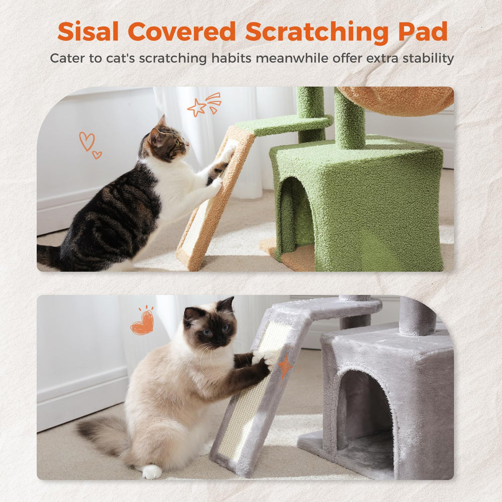PETEPELA removable top bed perch demonstrates versatile resting options for kittens.