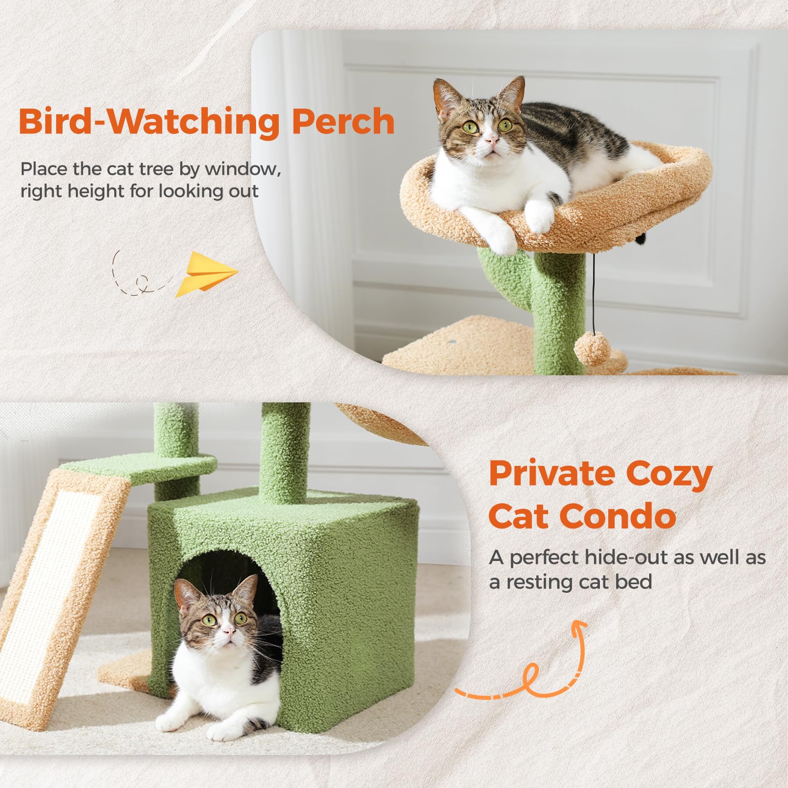 PETEPELA sisal scratching ramp supports healthy claws and scratching instincts.
