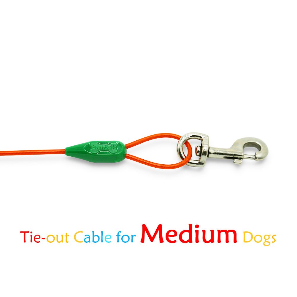 Petest dark green and orange colorway increases visibility and style