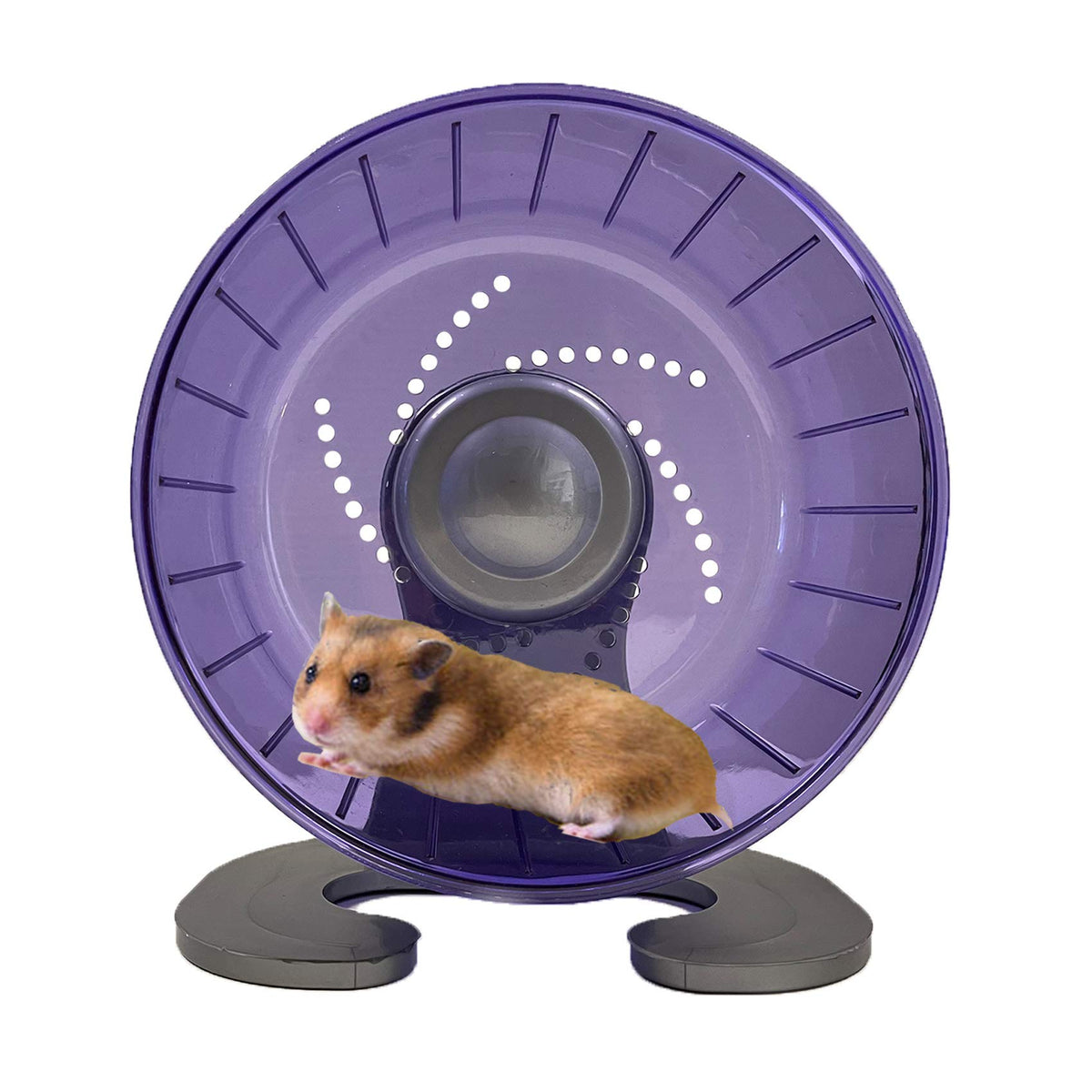 Petest hamster exercise wheel 6.7-inch purple provides compact cardio for small pets.