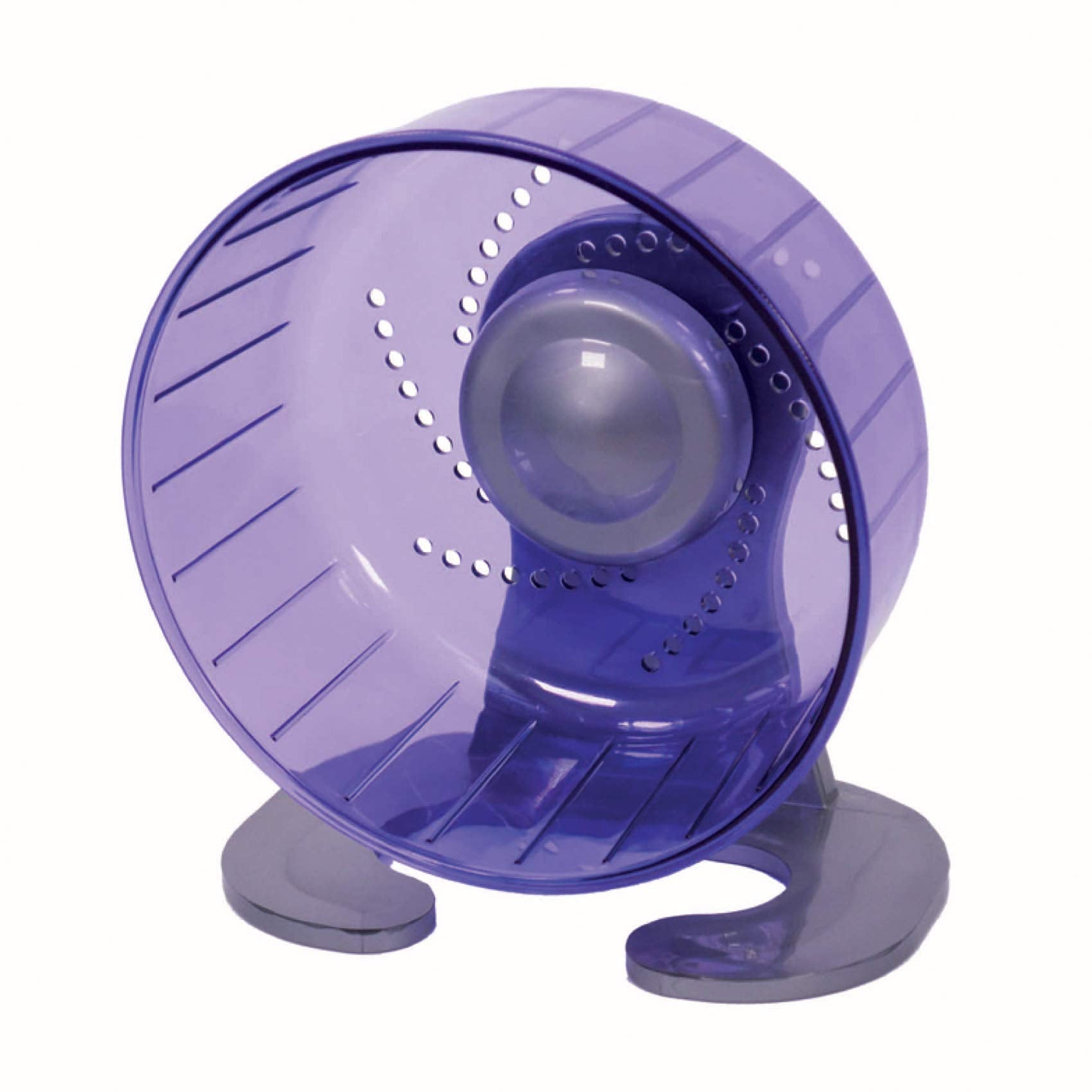 Petest hamster running activity in habitat emphasizes healthy daily exercise.