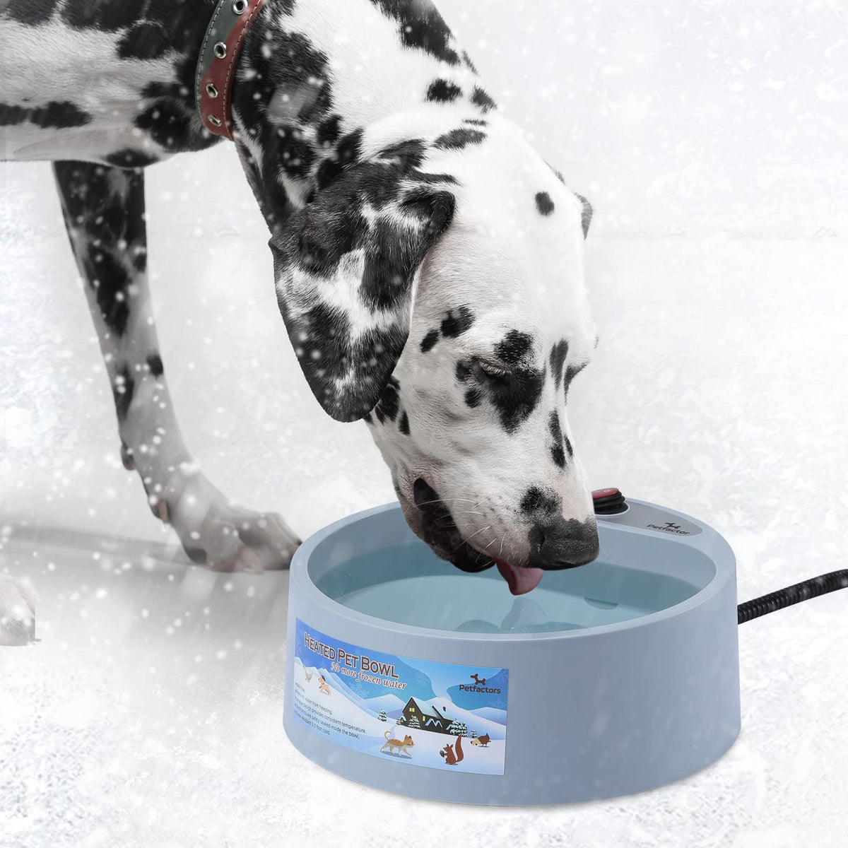 Petfactors heated bowl front view shows outdoor hydration in cold weather