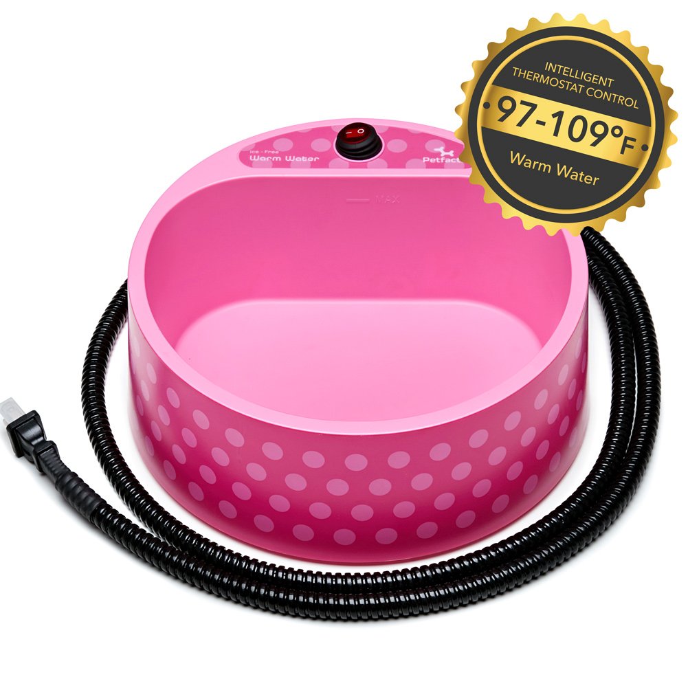 Petfactors thermal water bowl in cold conditions keeps water from freezing