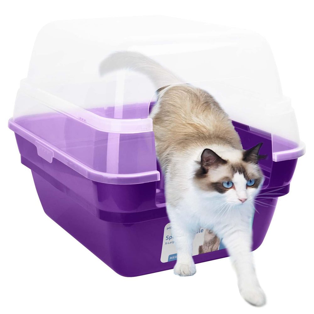 Petfamily cat litter box front view in purple shows spacious, easy-entry design.
