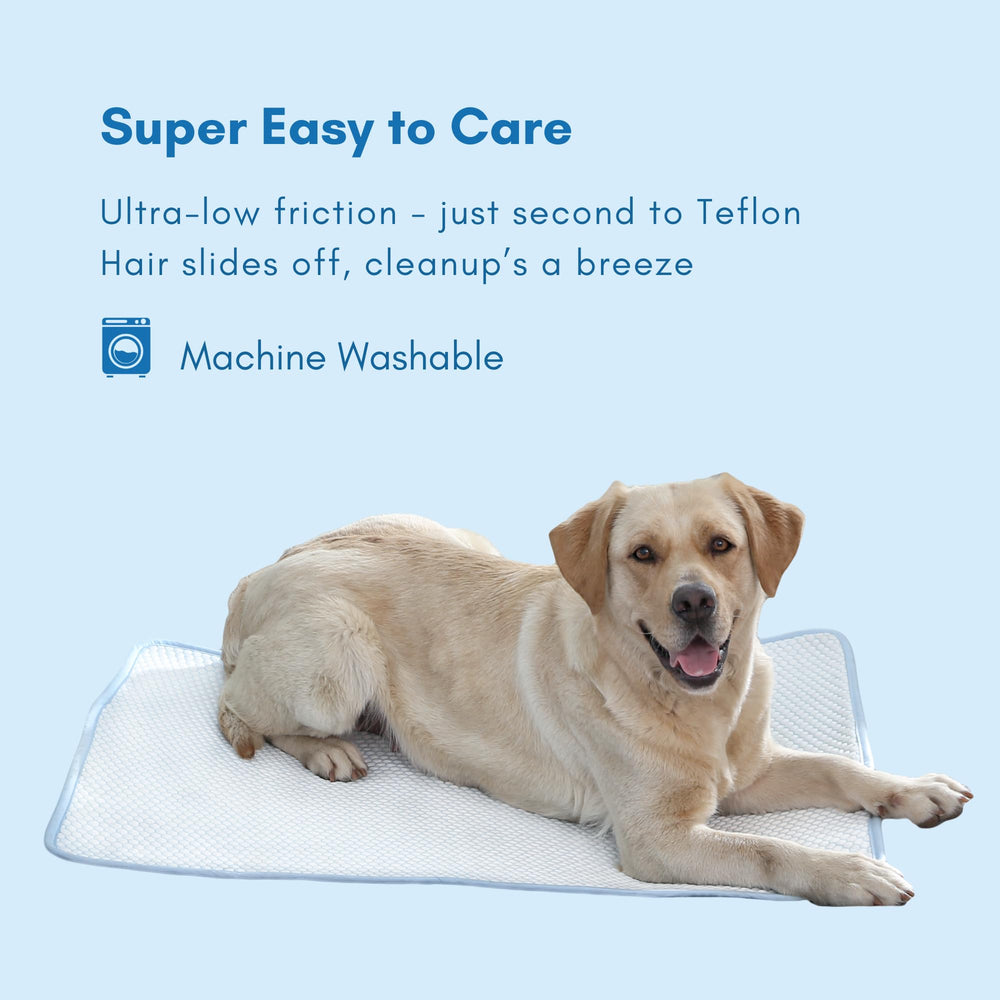 Petfelix dog cooling mat foldable portable design easy to carry and store.