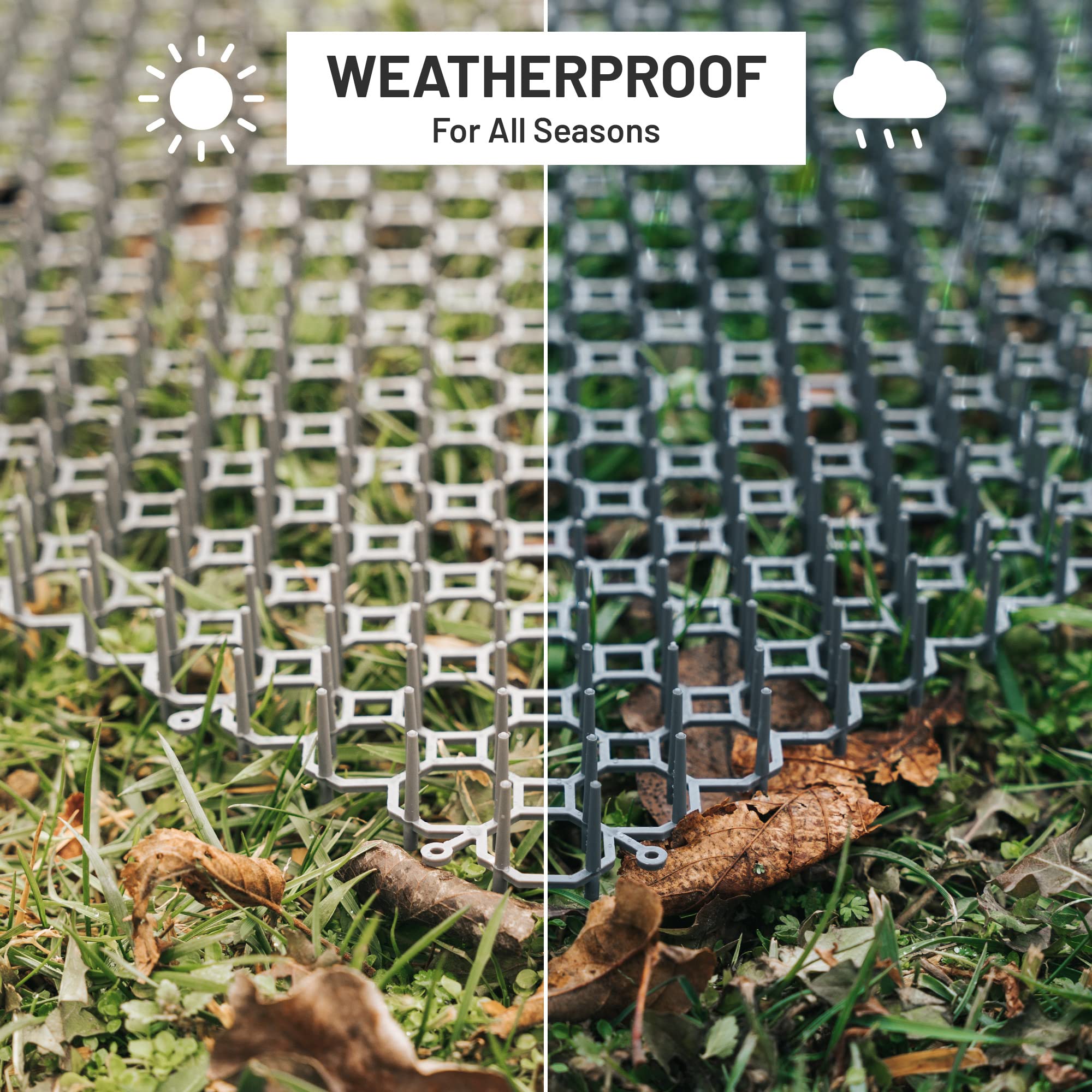 Petfolio wide-coverage 15 sqft mat guards surfaces across living areas.