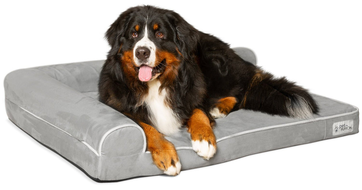 PetFusion BetterLounge memory foam base provides plush comfort for dogs.