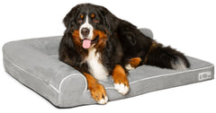 PetFusion BetterLounge memory foam base provides plush comfort for dogs.