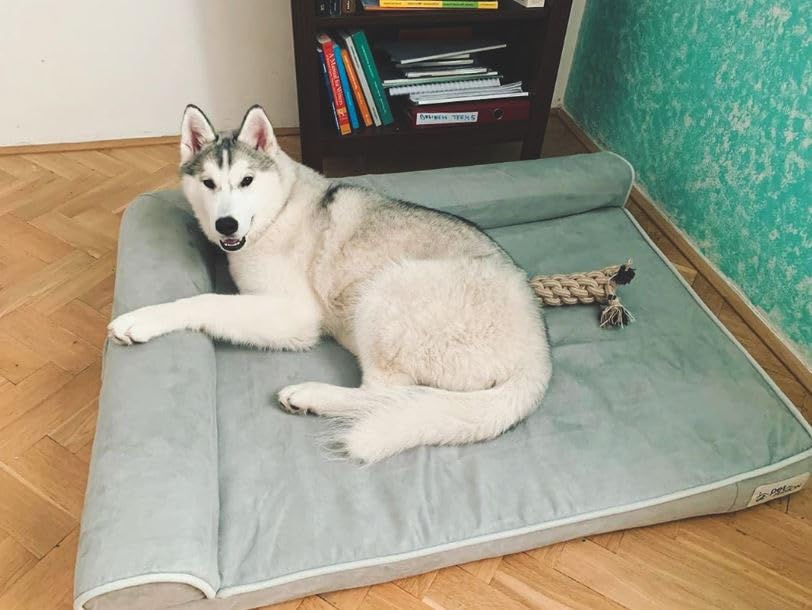 PetFusion BetterLounge two-bolster design expands resting surface for large breeds.