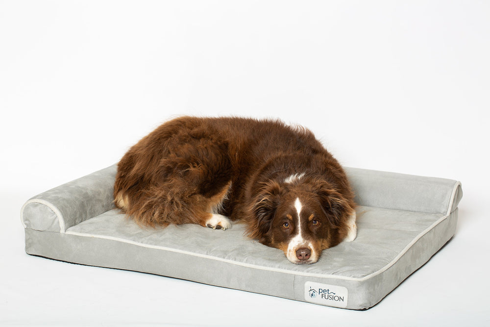 PetFusion BetterLounge warranty label signals a 1-year warranty