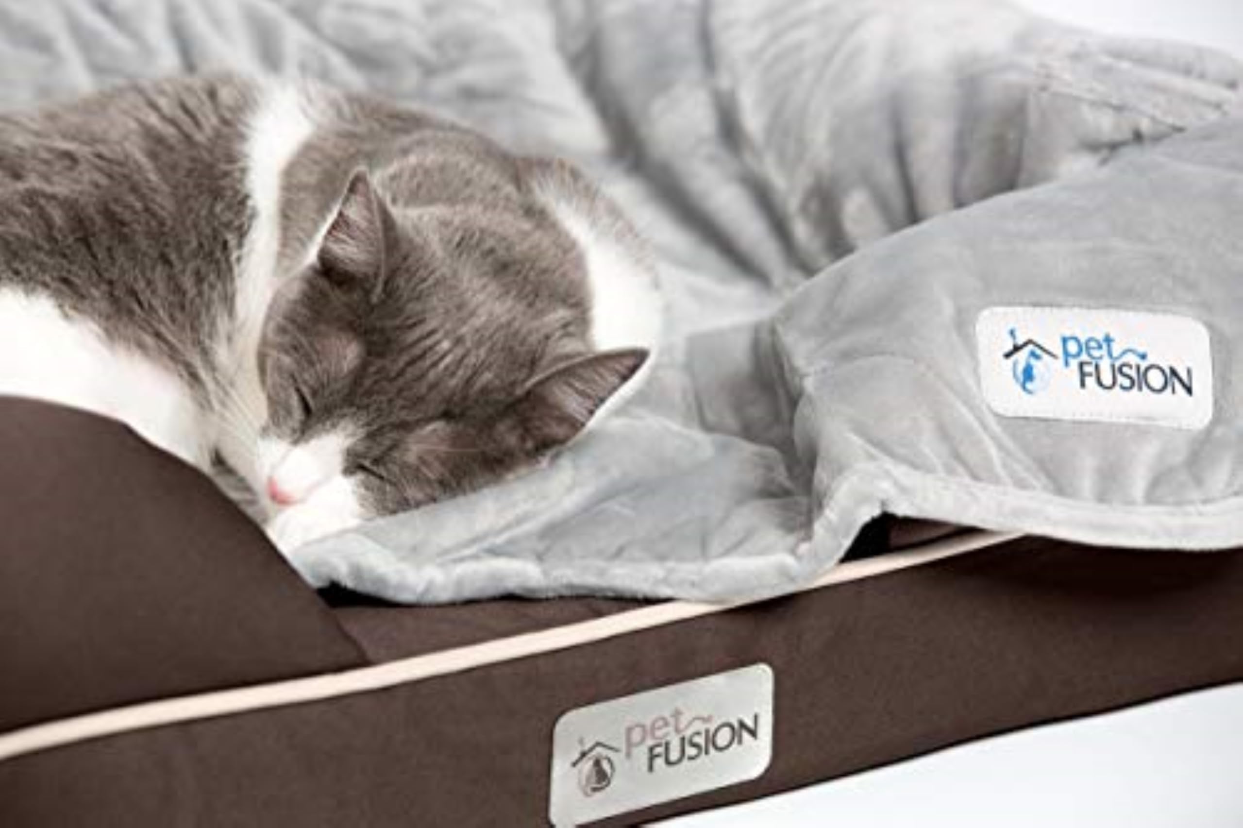 PetFusion Ultimate Dog Bed small dogs 25x20x5.5 inch fits compact spaces