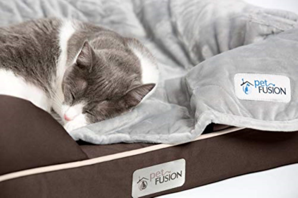 PetFusion Ultimate Dog Bed small dogs 25x20x5.5 inch fits compact spaces