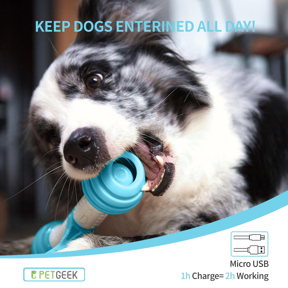 PETGEEK Fear Free Awards 2019 recognition highlight.