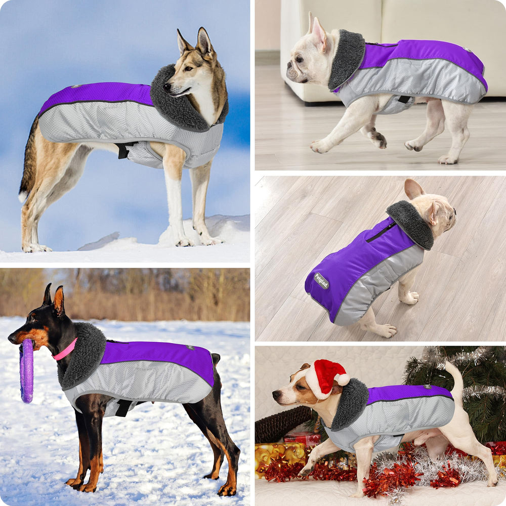Petglad adjustable buckle coat for snug fit; measure chest neck back