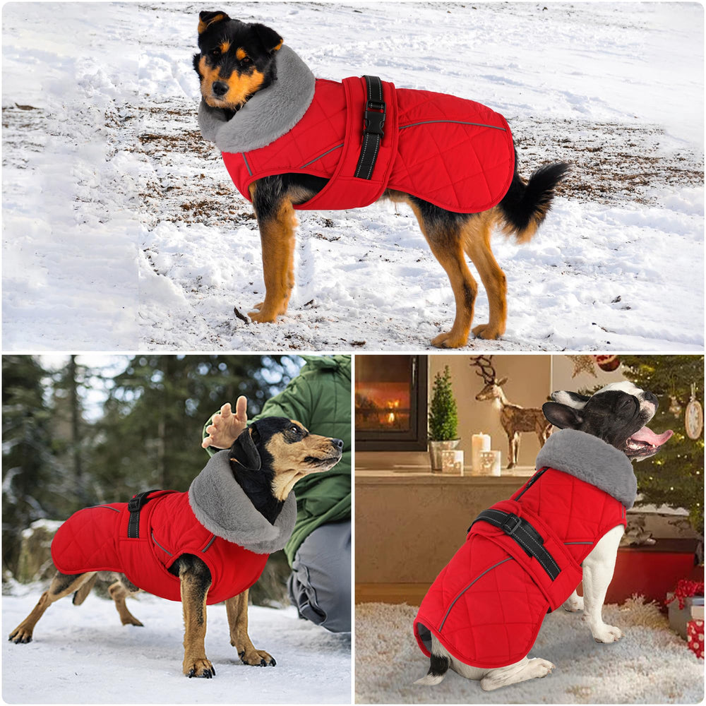 Petglad coat adjustable buckle ensures secure, comfortable fit