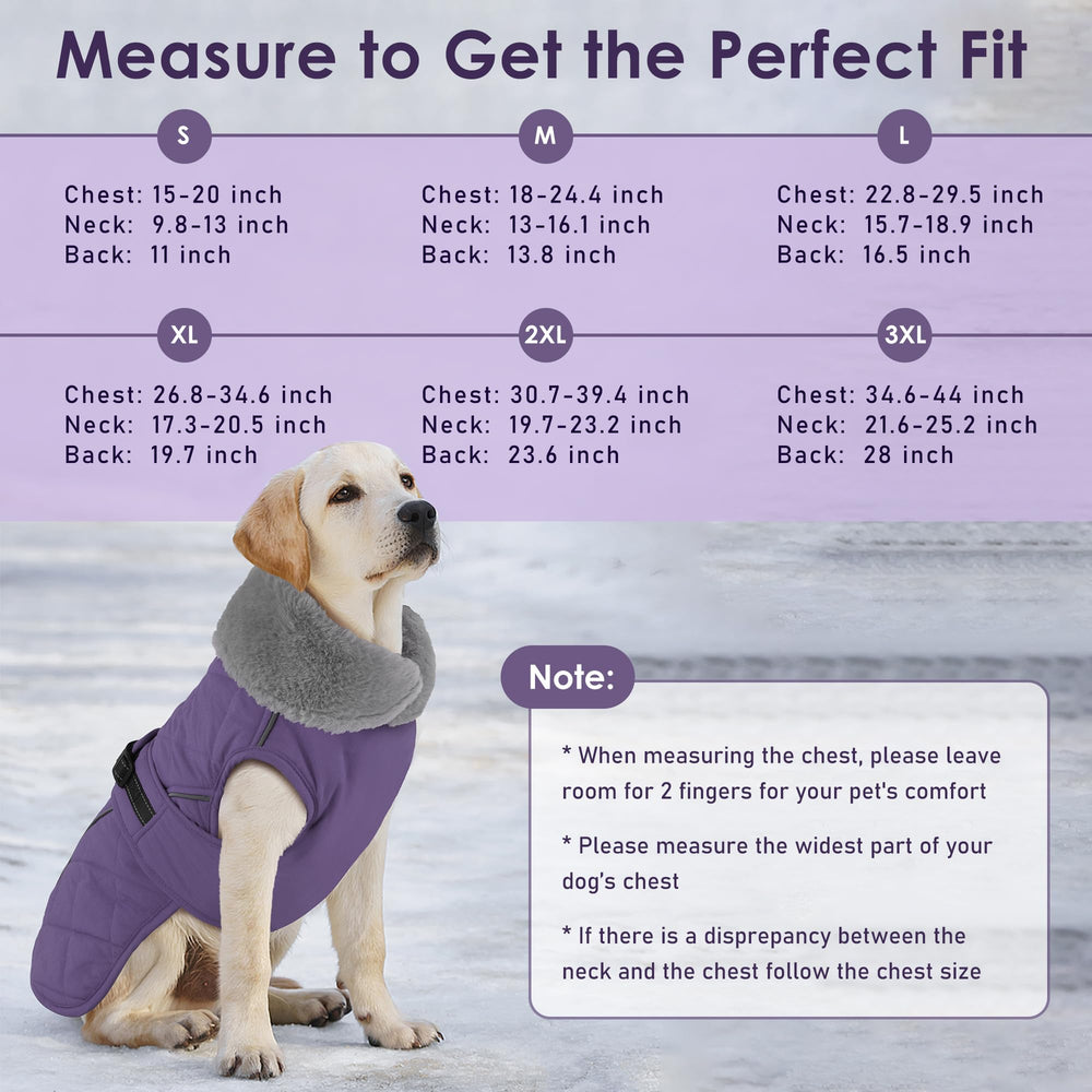 Petglad leash-hole design simplifies harness-and-leash setup