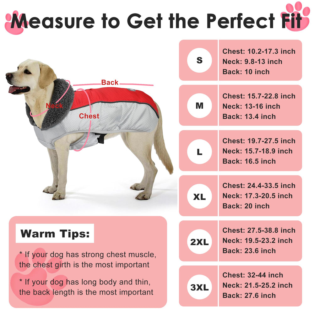 Petglad adjustable buckle ensures a snug fit across sizes